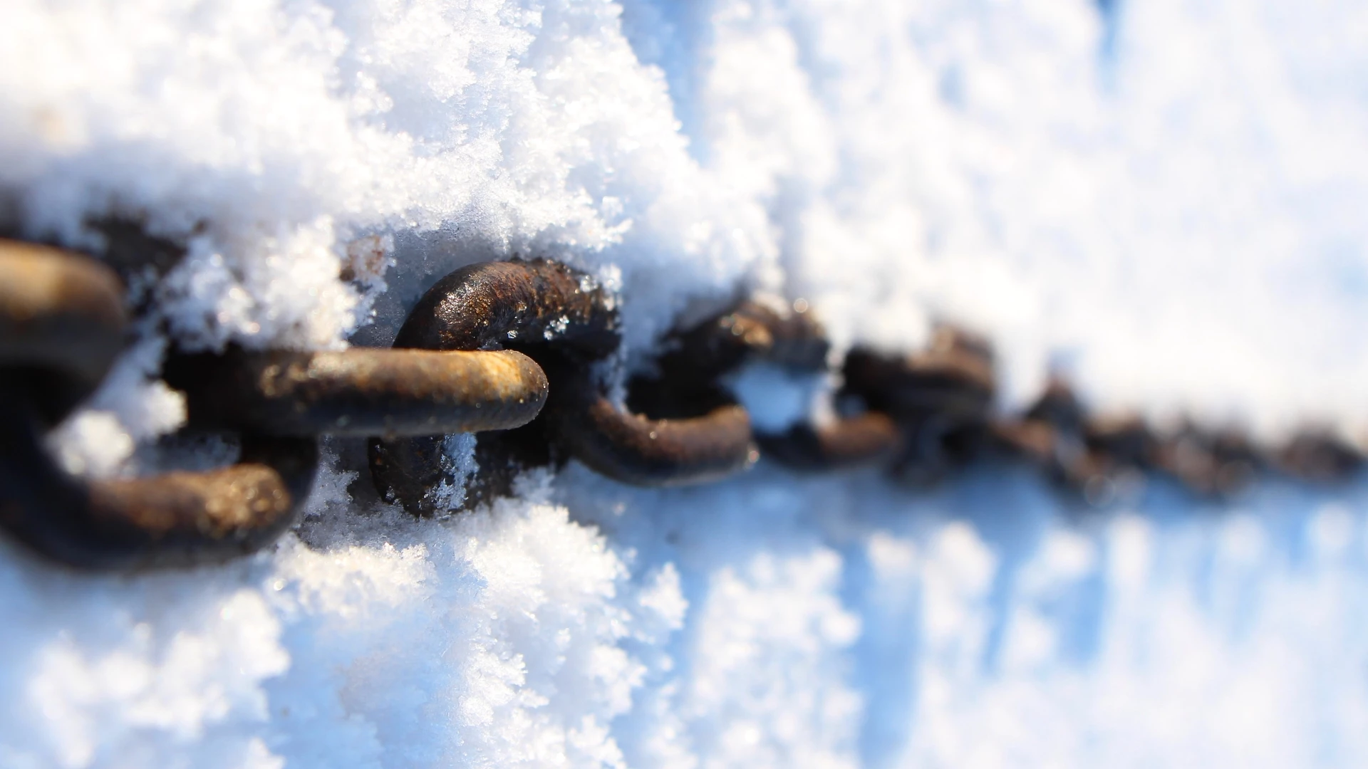 cold chain