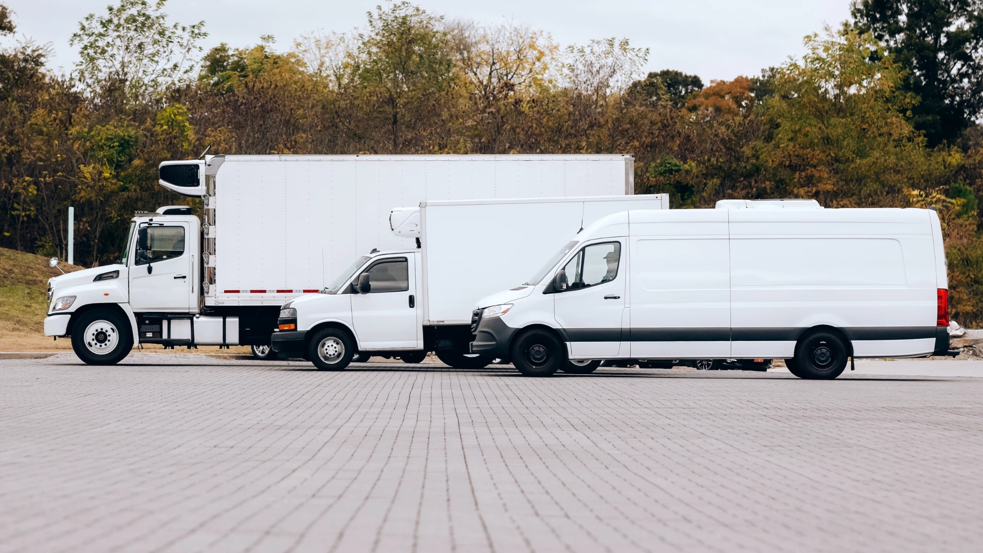 rvn reefer van