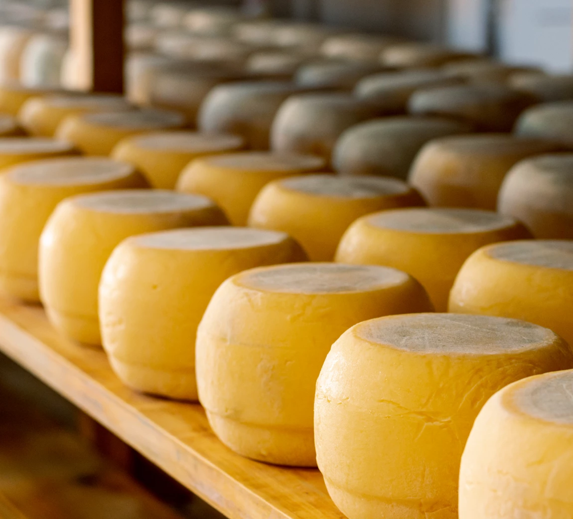 Cheese Shipping 2