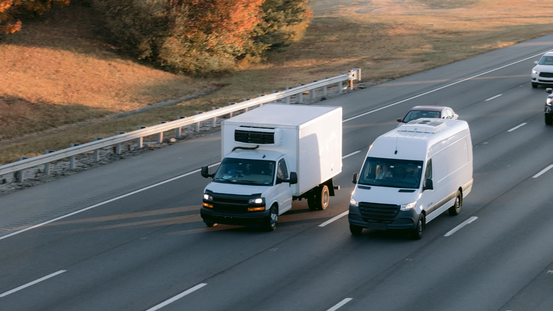 cold chain management