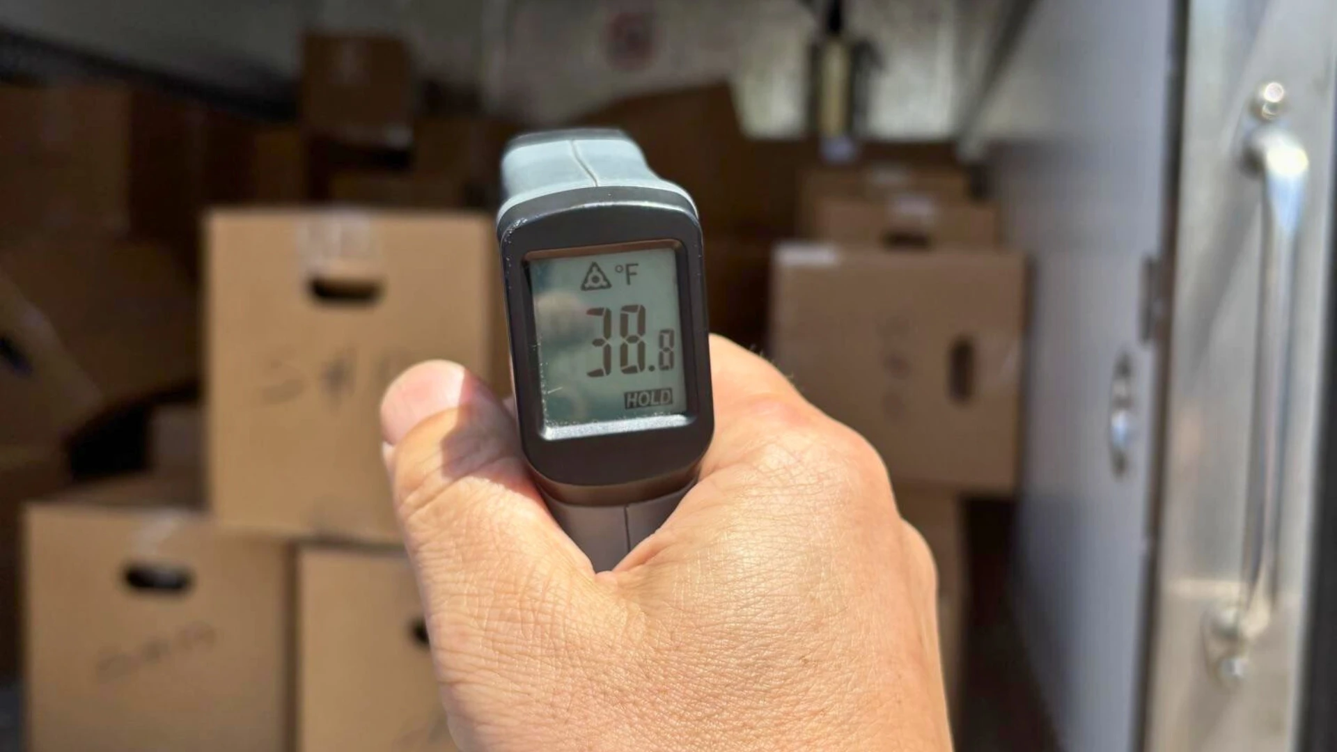 temperature-sensitive goods perishable item, temperature-sensitive goods, cold chain, frozen products, refrigerated delivery