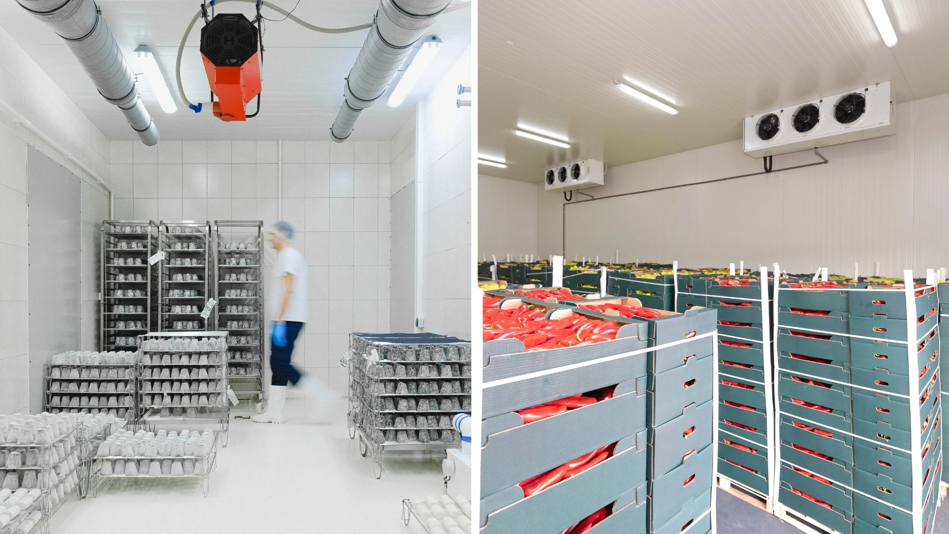 Industries That Rely on Refrigerated Delivery Industries That Rely on Refrigerated Delivery