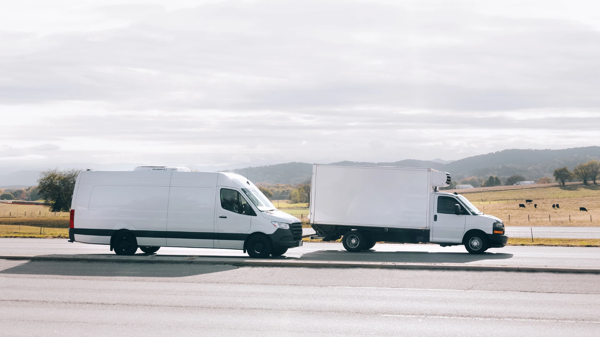 small reefer trucks, small trucks, reefer, reefer van, reefer box truck, reefer straight trucks