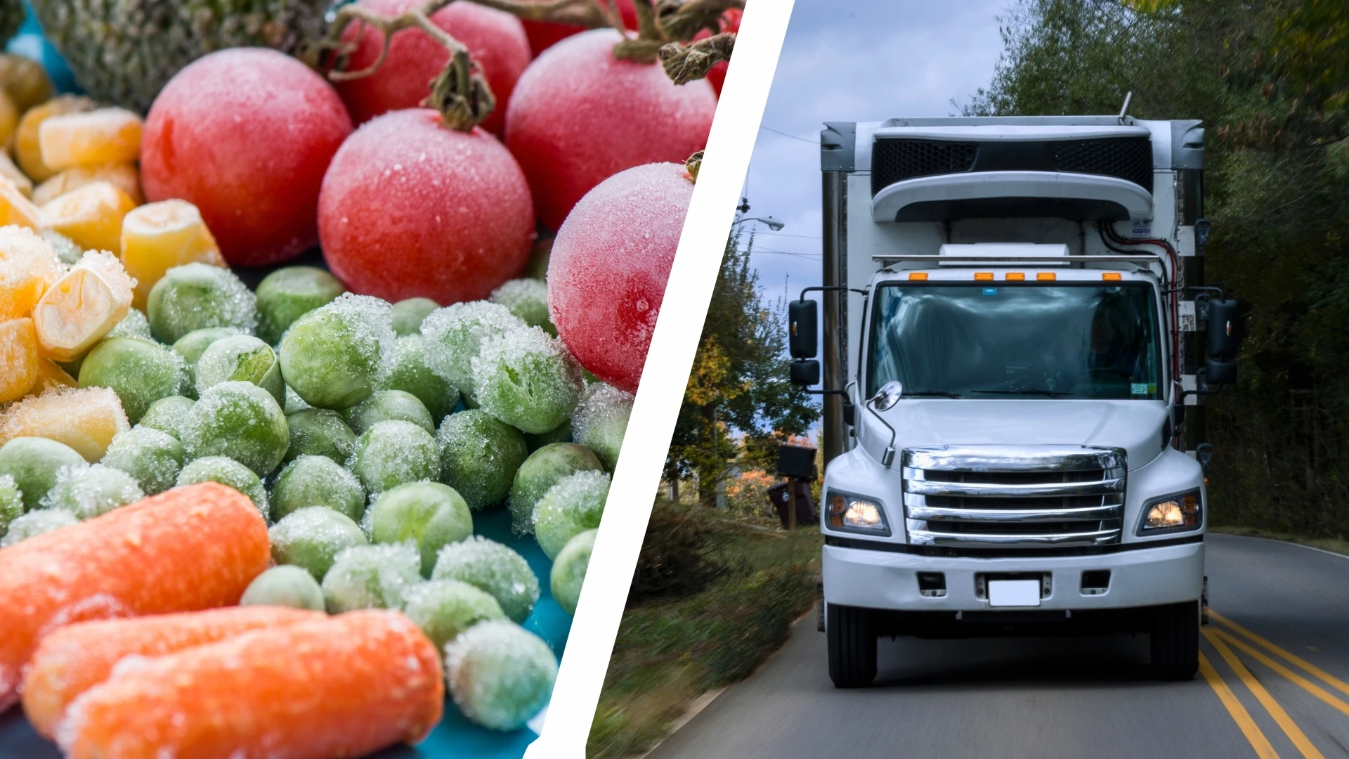 refrigerated delivery 2