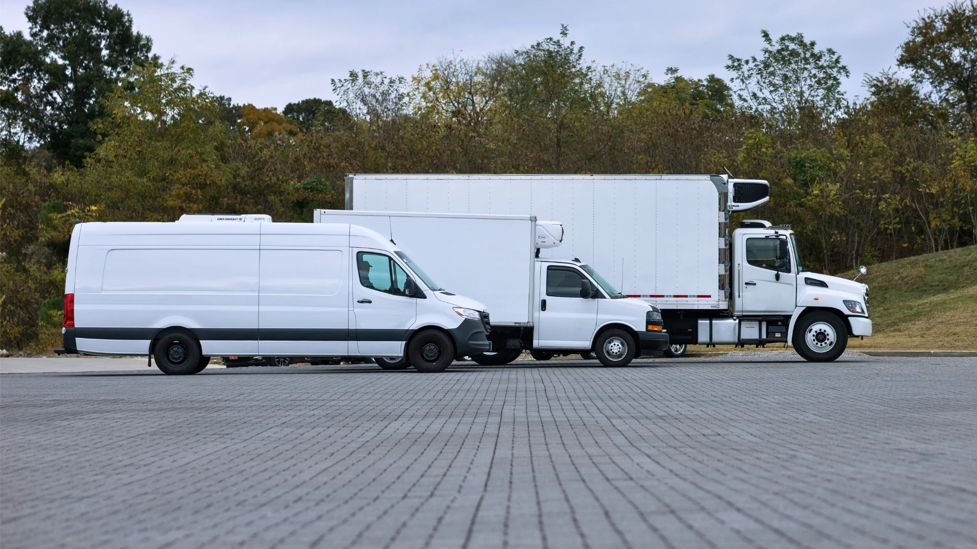 refrigerated shipping of medicines refrigerated shipping of medicines
