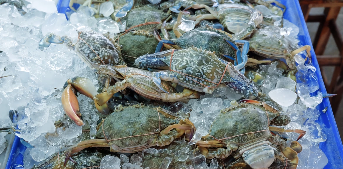Seafood Shipping 1