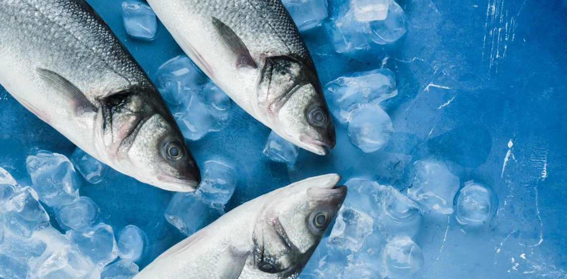 Seafood Shipping 5