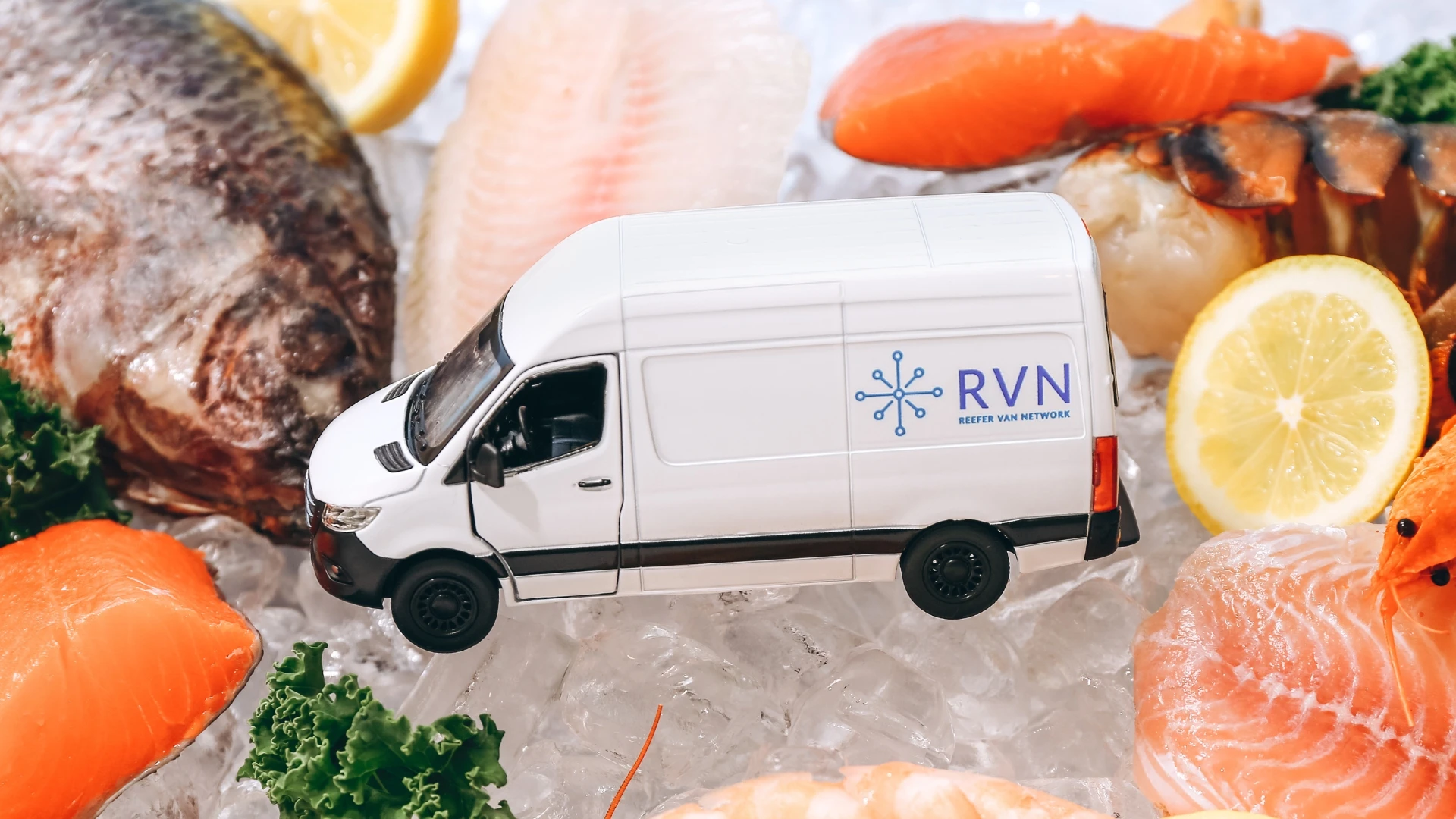 shipping of frozen food