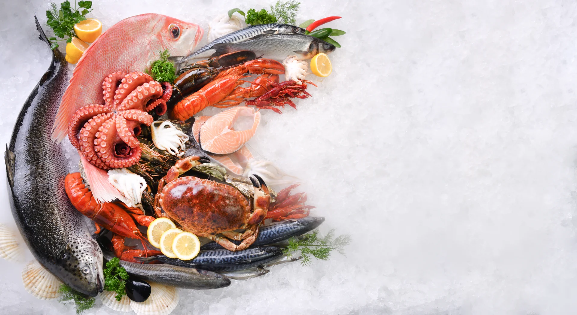top view variety fresh fish seafood ice